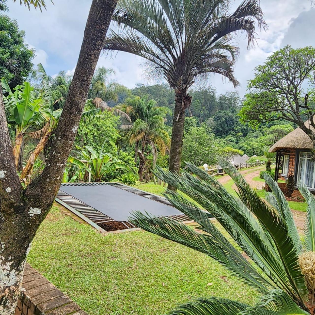 Magoebaskloof Mountain Lodge Tzaneen Extérieur photo